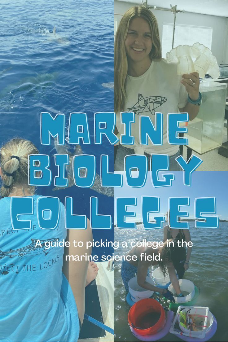 the cover of marine biology college's guide to picking and collecting items in the marine science field