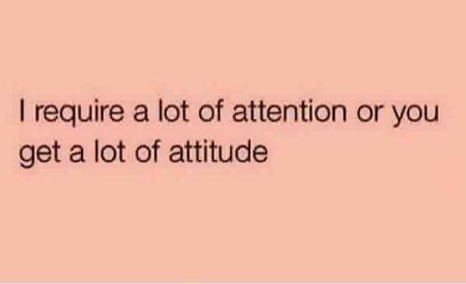 the text reads, i require a lot of attention or you get a lot of attitude