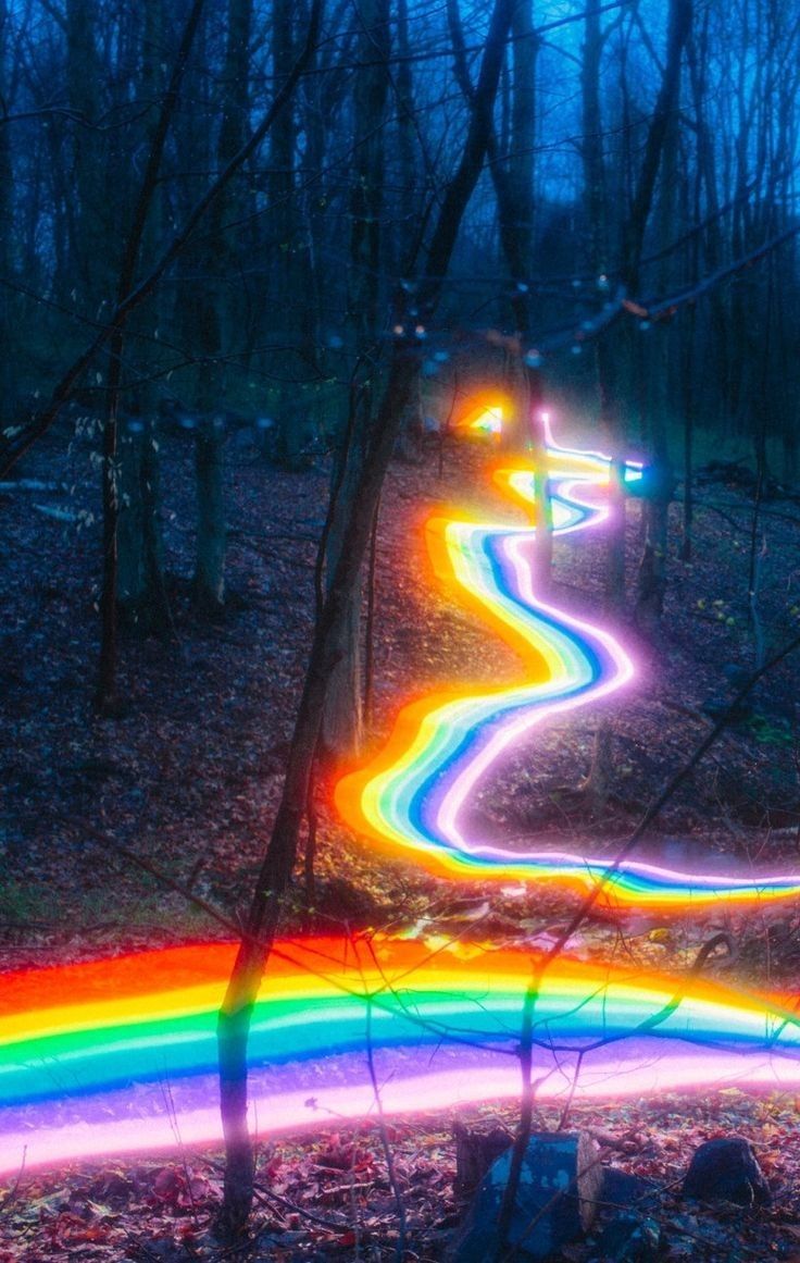 a rainbow colored road in the middle of a forest