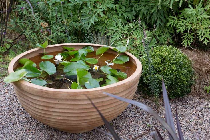 a large wooden bowl filled with water and plants