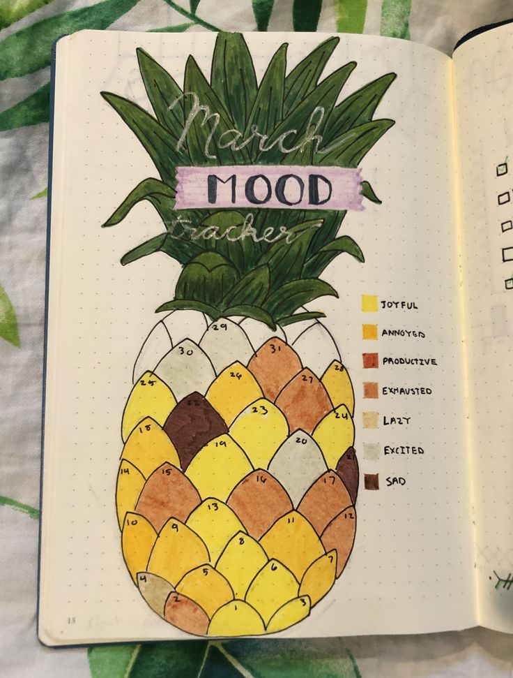 an open notebook with a drawing of a pineapple