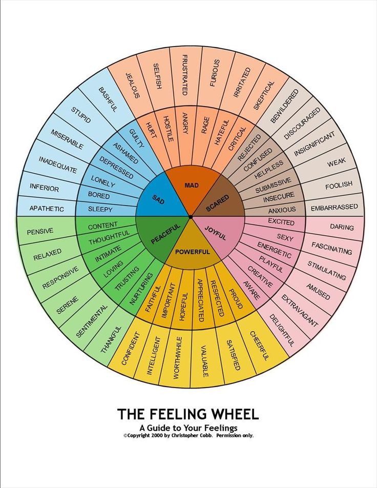 the feeling wheel is shown in this image