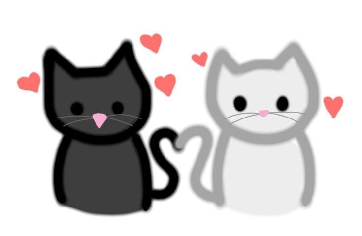 two black and white cats with hearts on their ears