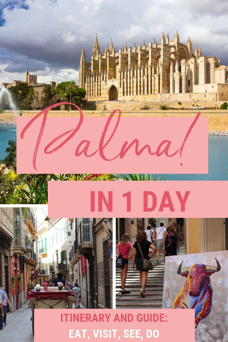 collage of photos with text that reads palana in 1 day itinerary and see do