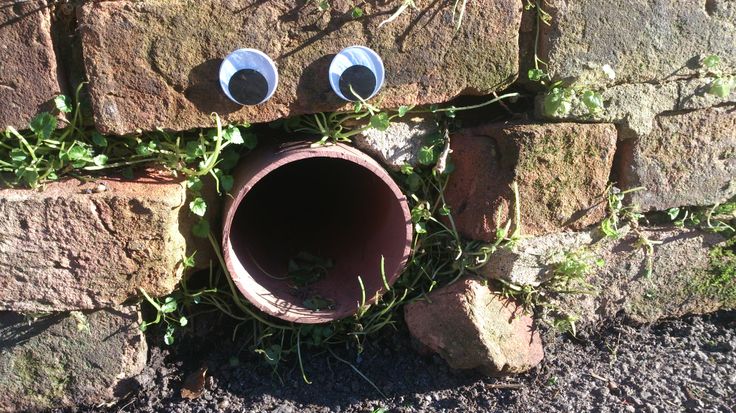 a brick wall with some plants growing out of it and eyes painted on the side