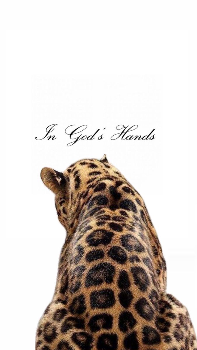 an animal that is laying down with the words i'm god's hands on it