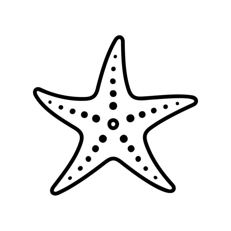 a starfish with black dots on it's body and back end, is shown