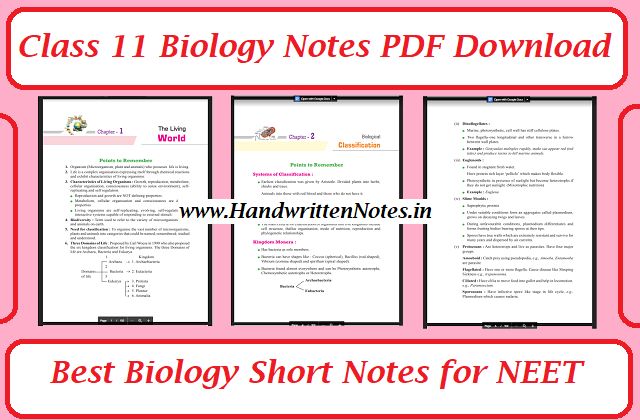 the best biology short notes for net class 11, with text and pictures on it