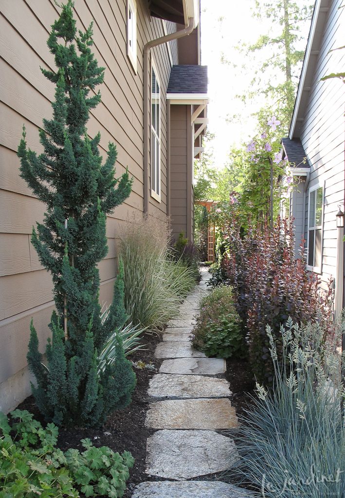 a stone path between two houses with plants growing on either side and in the middle