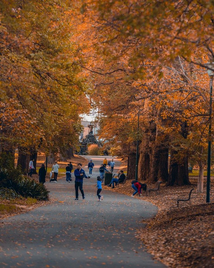 people are walking down a path in the park with trees and leaves on both sides