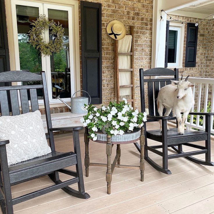 two rocking chairs on the front porch with flowers and a goat standing next to them