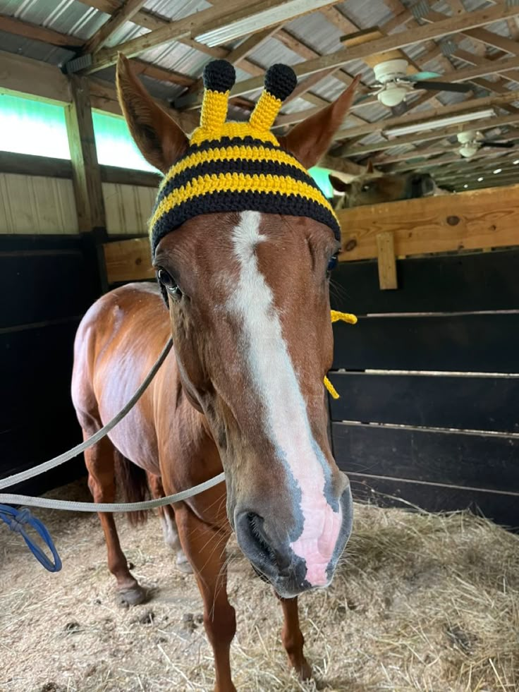 a brown horse wearing a yellow and black knitted hat on it's head