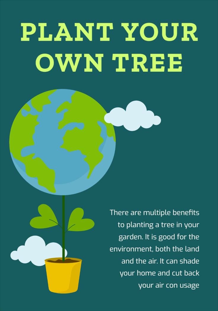 a poster with the words plant your own tree on it and an image of a potted