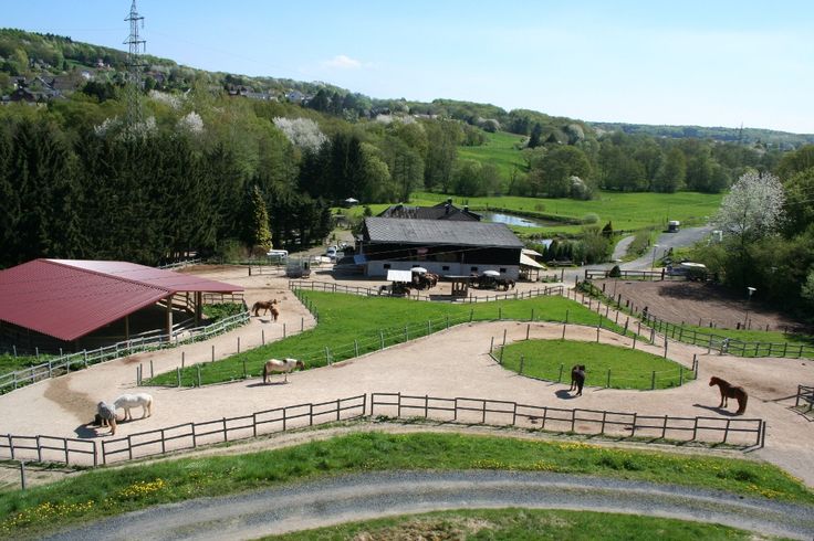 an aerial view of a farm with horses