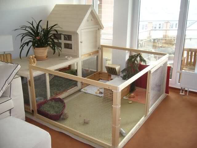 an indoor cage with playpen and plants in it