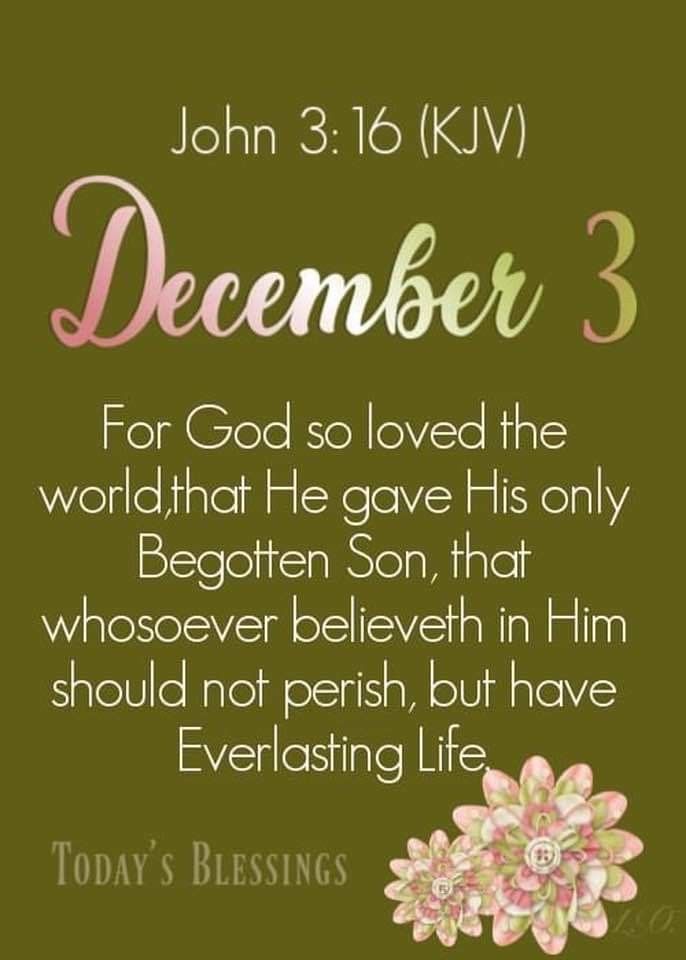 a green background with pink flowers and the words,'december 3, kjv for god so loved the world that he gave his only begotte son that who whoever