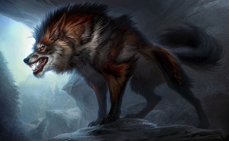 a wolf standing in the middle of a cave with it's mouth wide open