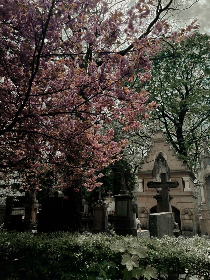 an old cemetery surrounded by trees with flowers on it's headstone and tombstones