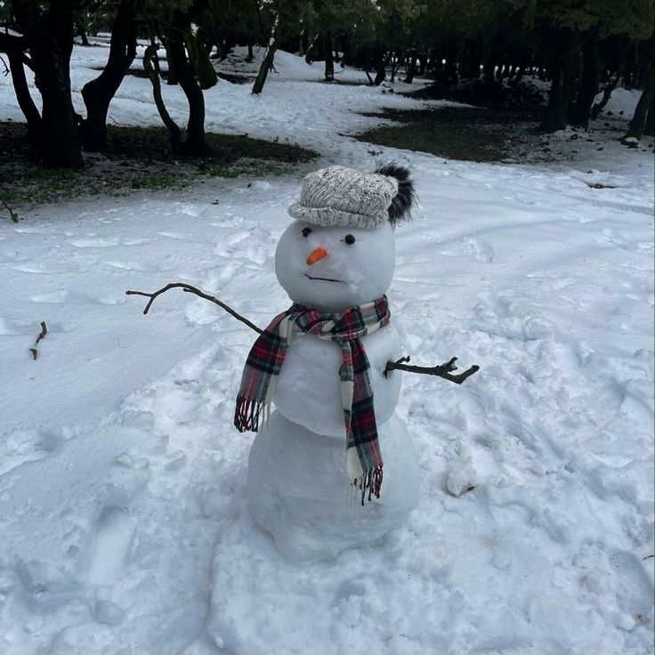 a snowman with a hat and scarf on standing in the snow near some trees