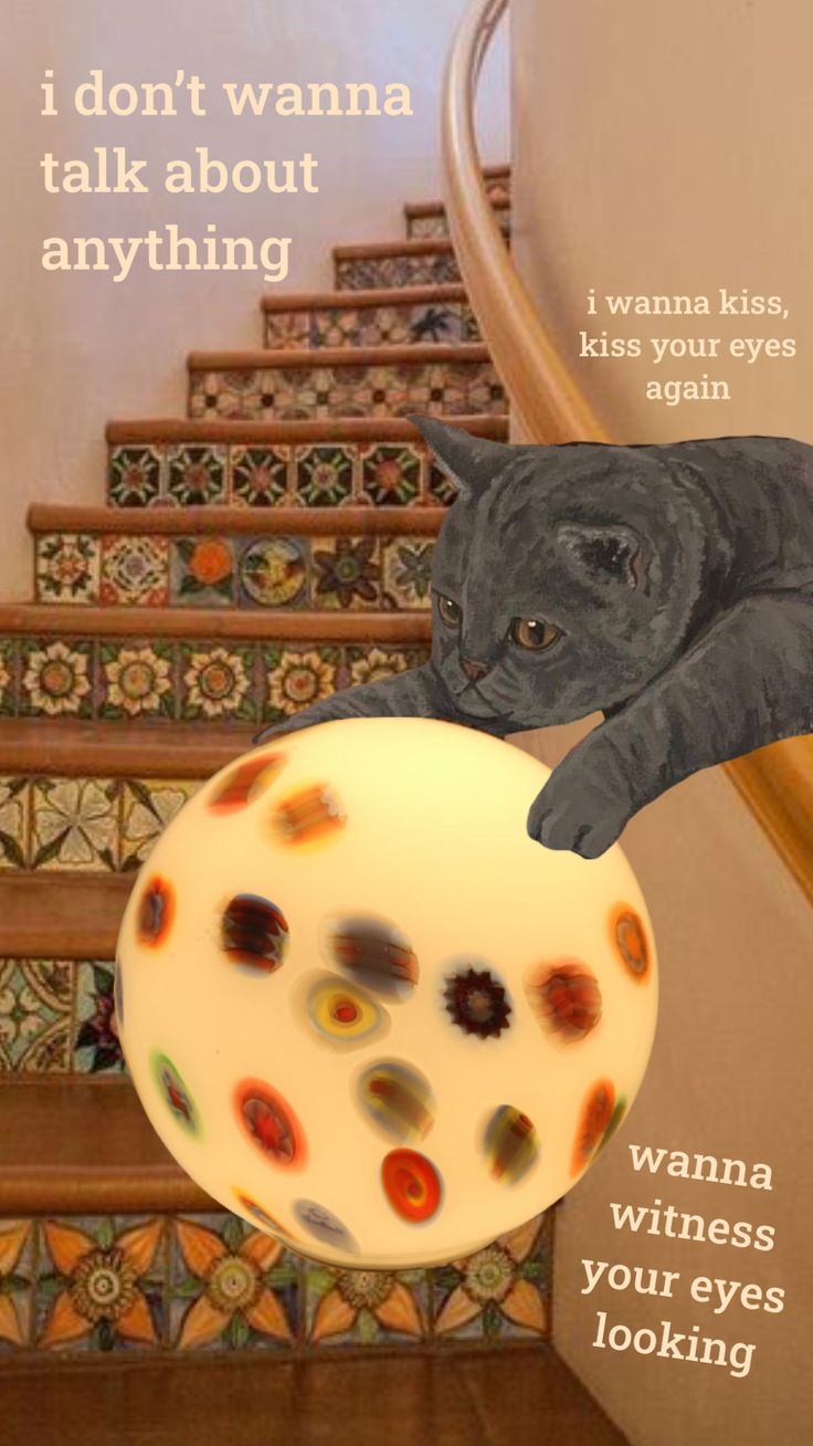 a cat is jumping over a ball on the stairs