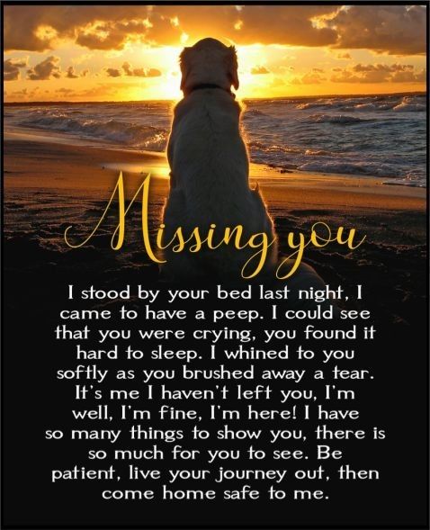 a dog sitting on top of a beach next to the ocean with an inscription about missing you