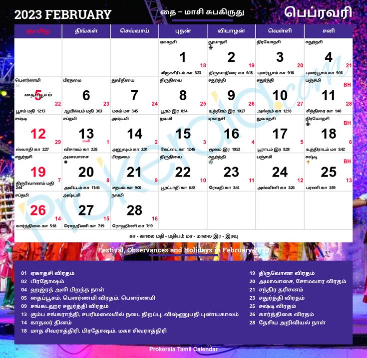 There is 1 public holiday and 1 optional holiday in the month of February. Number of bank holiday in February 2023 is 1. Resolution 2023, Tamil Calendar, Tamil New Year, Easy Homemade Christmas Gifts, 2023 Images, Holidays 2023, New Year Resolution, Calendar 2023, 2023 Calendar