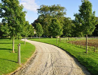 a dirt road in the middle of a grassy field with trees on both sides and a wooden fence around it