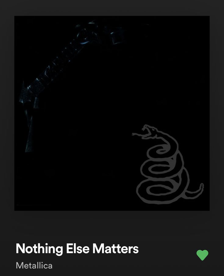 the cover for nothing else matters by metallica, featuring an image of a snake