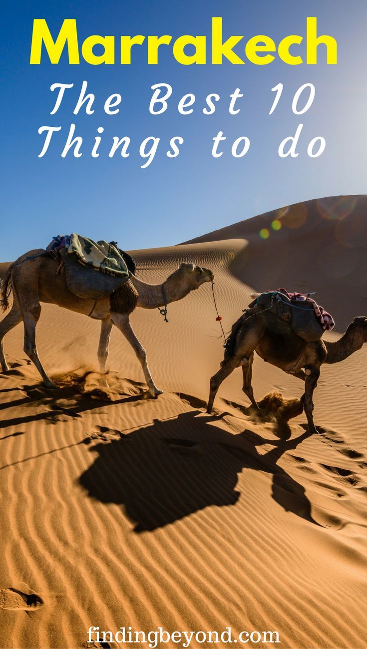 two camels walking in the desert with text overlay that reads, marraket the best 10 things to do