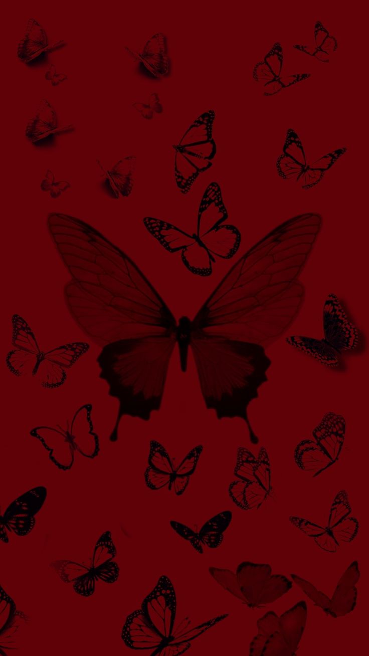 a group of butterflies flying in the air with red and black colors on it's wings