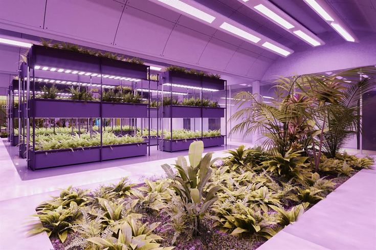 an indoor planter filled with lots of potted plants next to a wall covered in purple lights