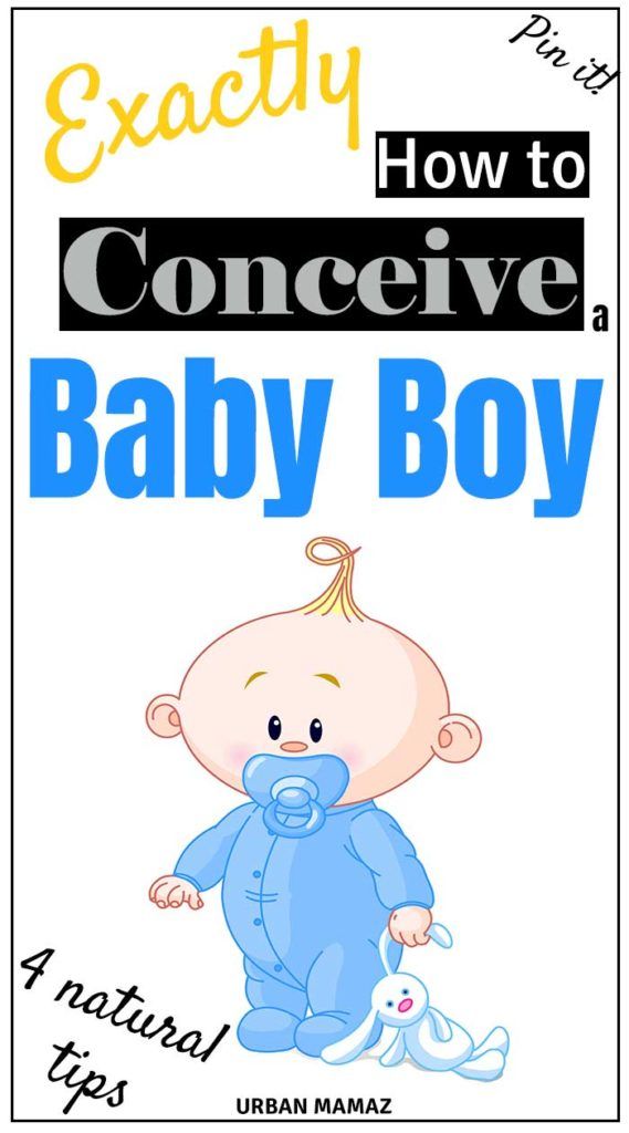 a baby boy book with the title'how to conceive a baby boy '