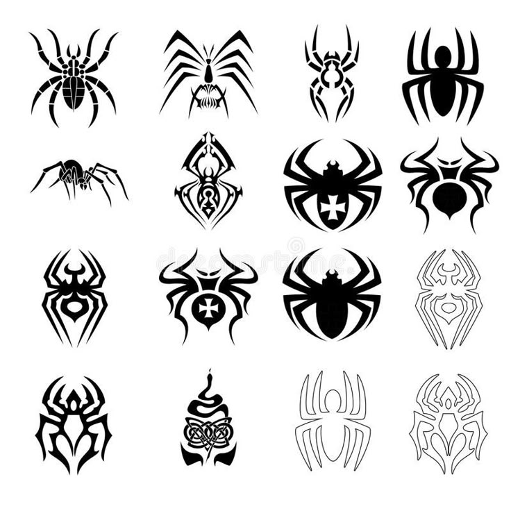 spider web tattoo designs on white background stock photo, image and royalty free images for your design