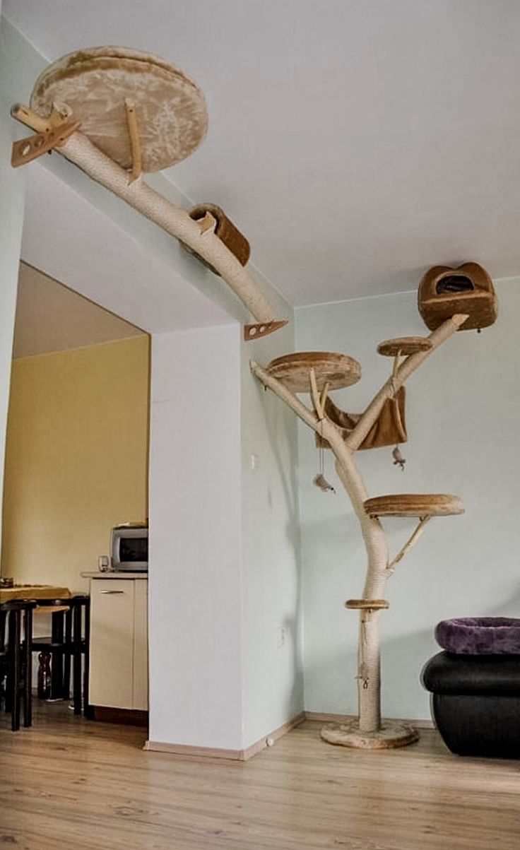 a cat tree in the corner of a living room