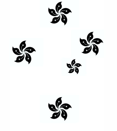 four black and white flowers on a white background