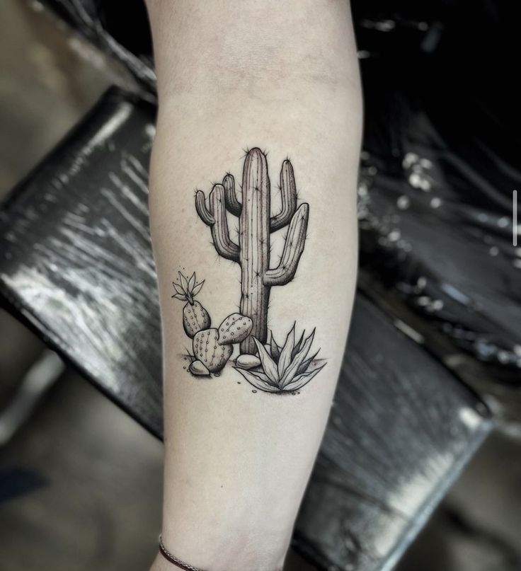 a small cactus tattoo on the right forearm and leg, with two cacti