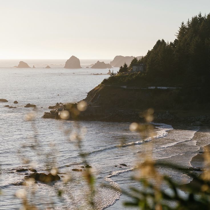 Crook Point wedding on the Oregon Coast. Coastal Cliffs, Untraditional Wedding, Oregon Coast Wedding, Elopement Reception, Smallest Wedding Venue, Intimate Wedding Venues, Reception Dinner, Private Property, Oregon Wedding