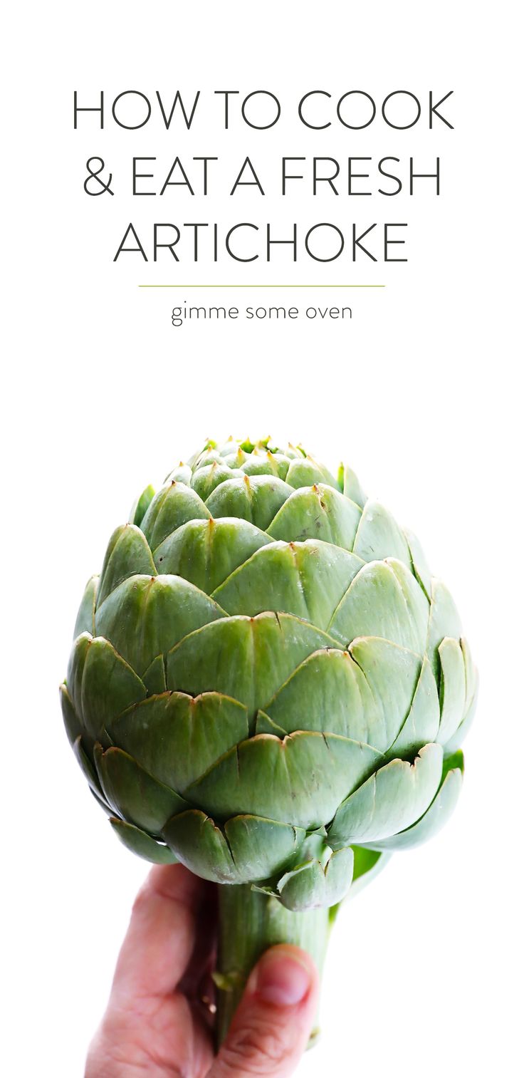 a hand holding an artichoke over a white background