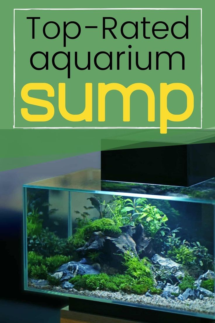 the top - rated aquarium sump is in front of an aquarium with plants and rocks