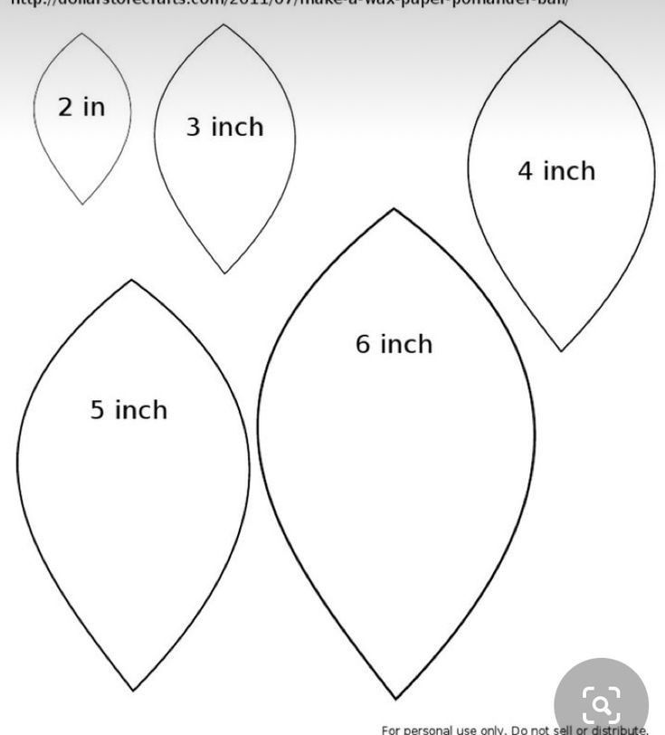 the four leaf shapes are cut out and ready to be colored