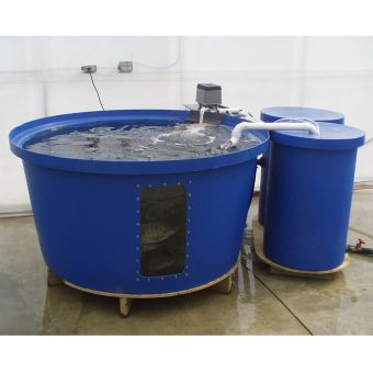 two large blue barrels with water in them