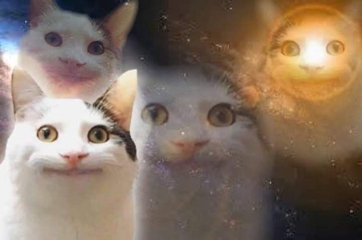 three cats are looking at the camera with their eyes wide open and glowing in the background