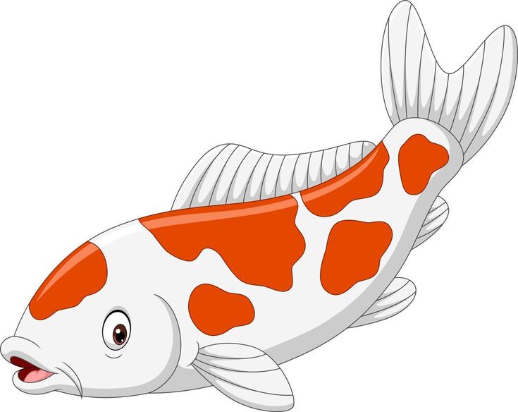 an orange and white fish with red spots on it's body, swimming in the water