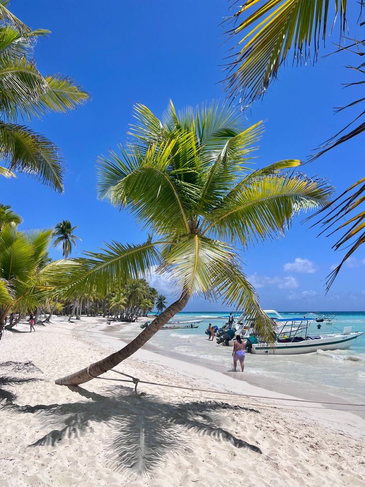 people are walking on the beach with boats in the water and palm trees lining the shore