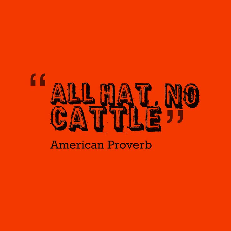 an orange background with the words, all that no cattle american prove