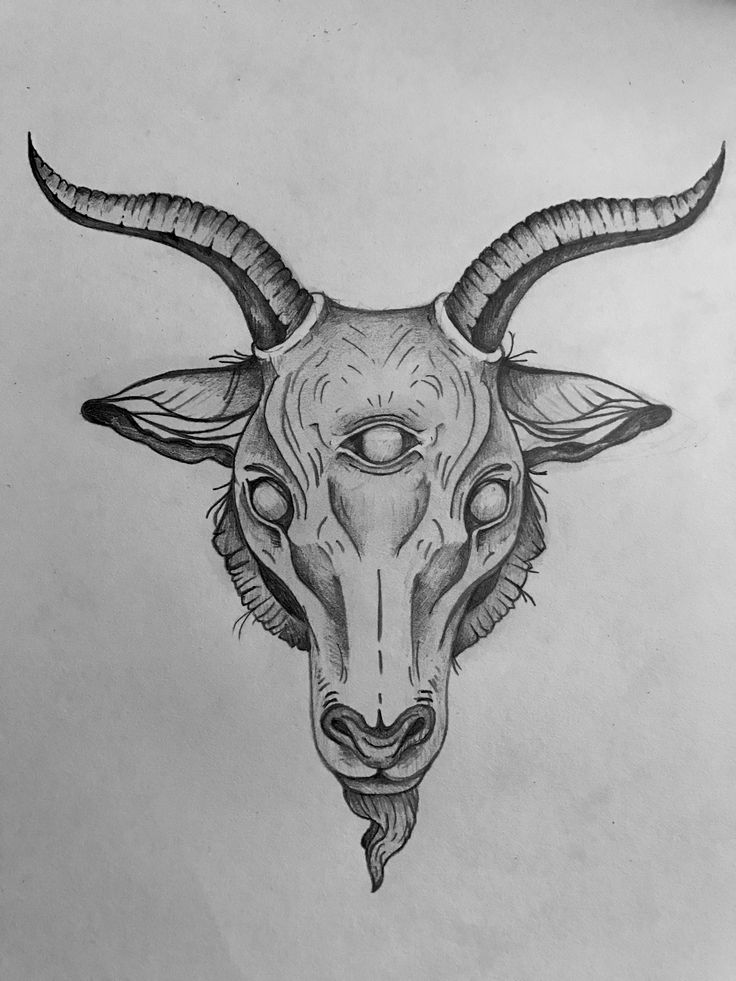 a drawing of a bull's head with horns