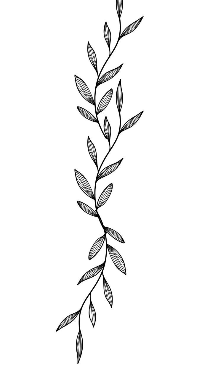 a black and white drawing of a branch with leaves