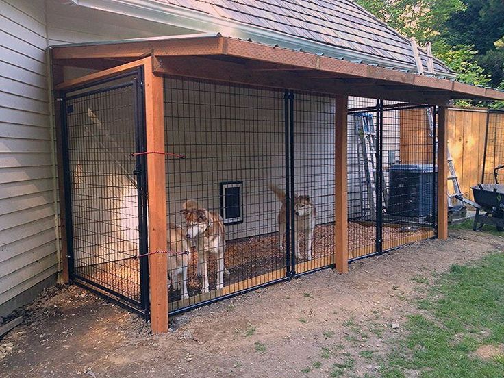 two dogs are in their kennel at the back of a house that is fenced off