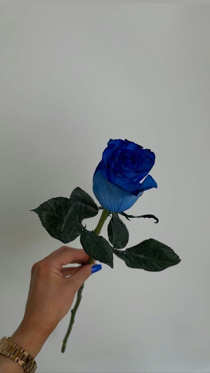 a blue rose is being held up by someone's hand, against a white background