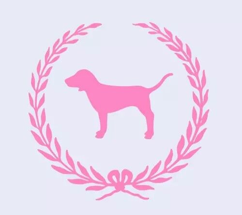 the pink dog is on display in this screen capture from an iphone app that shows how to